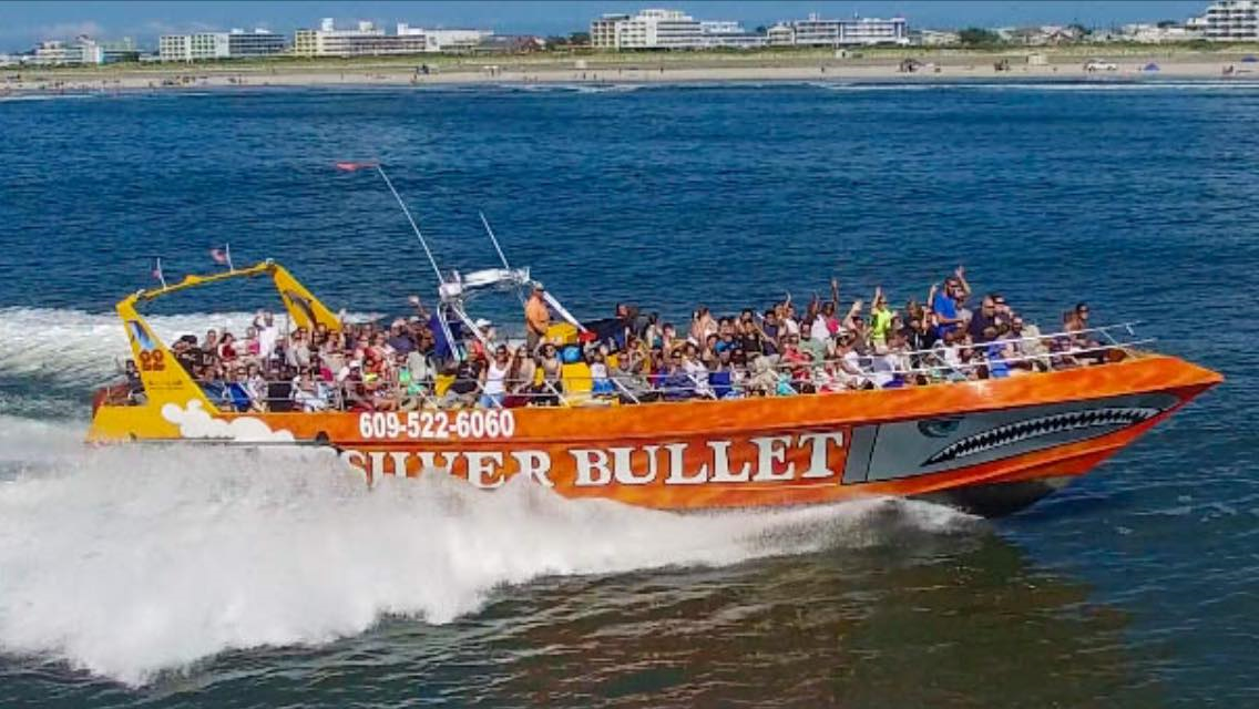 Silver Bullet Dolphin Watch Speed Boat  - 11:30am