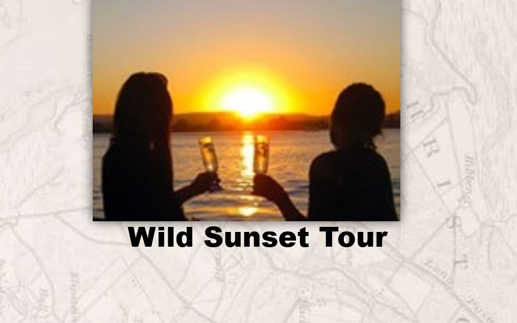 "Wild" Sunset Cocktail Cruise
